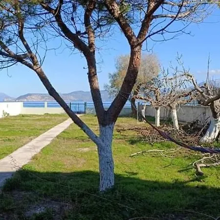 Villamare Nerantza