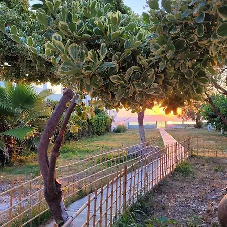 Villamare Nerantza